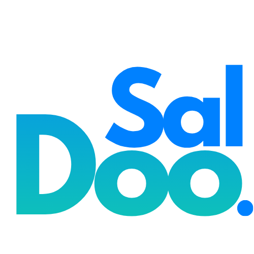 Saldoo Business Support